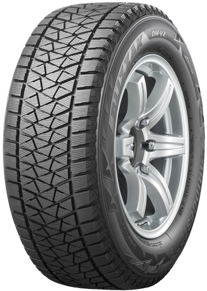 BRIDGESTONE DM-V2