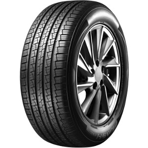 FORTUNA F5900