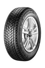 GT RADIAL WINTERPRO2